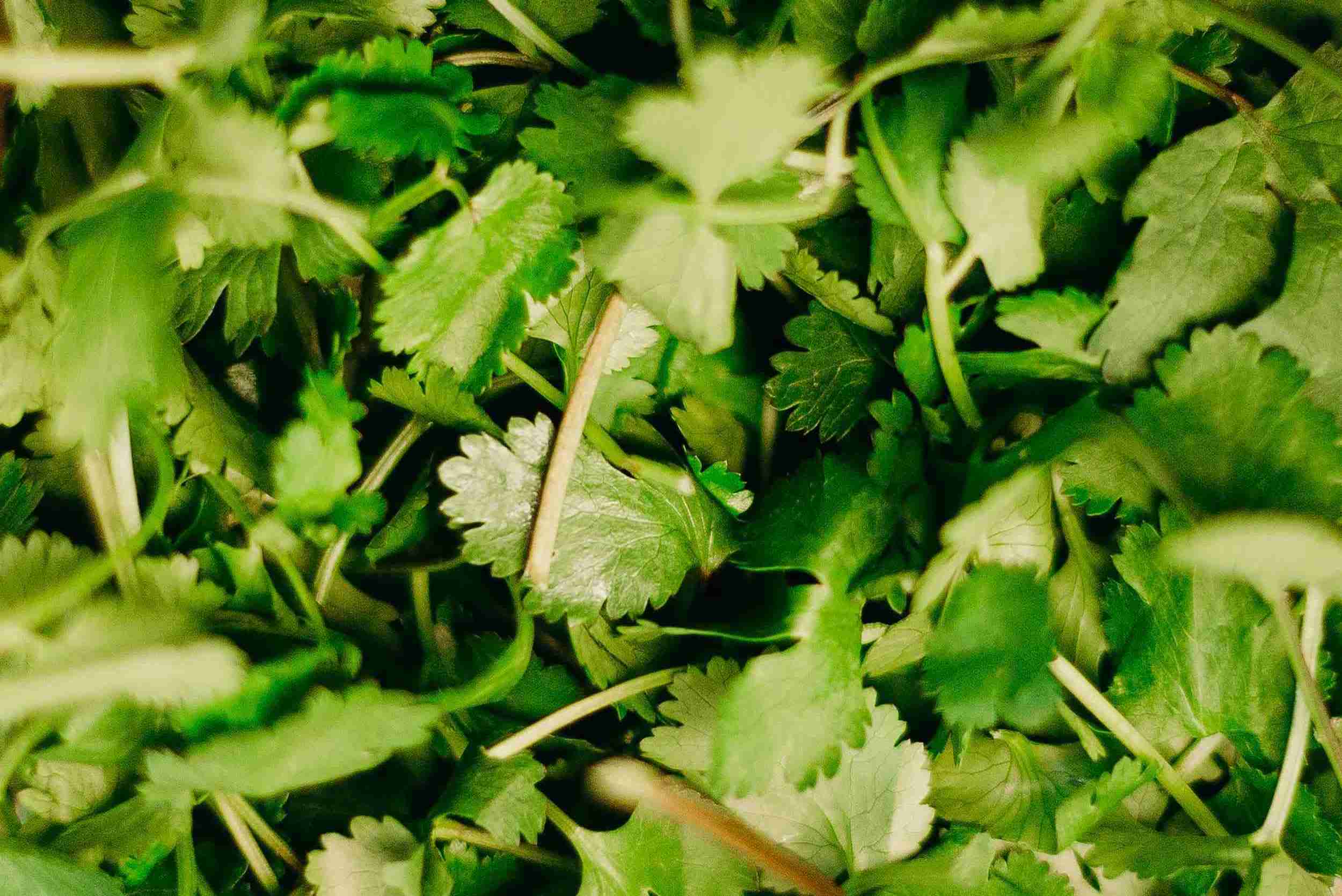 BackYard Blendz Original Green Seasoning Bulk Pack - Perfect for Parties & Family Gatherings - Image 6