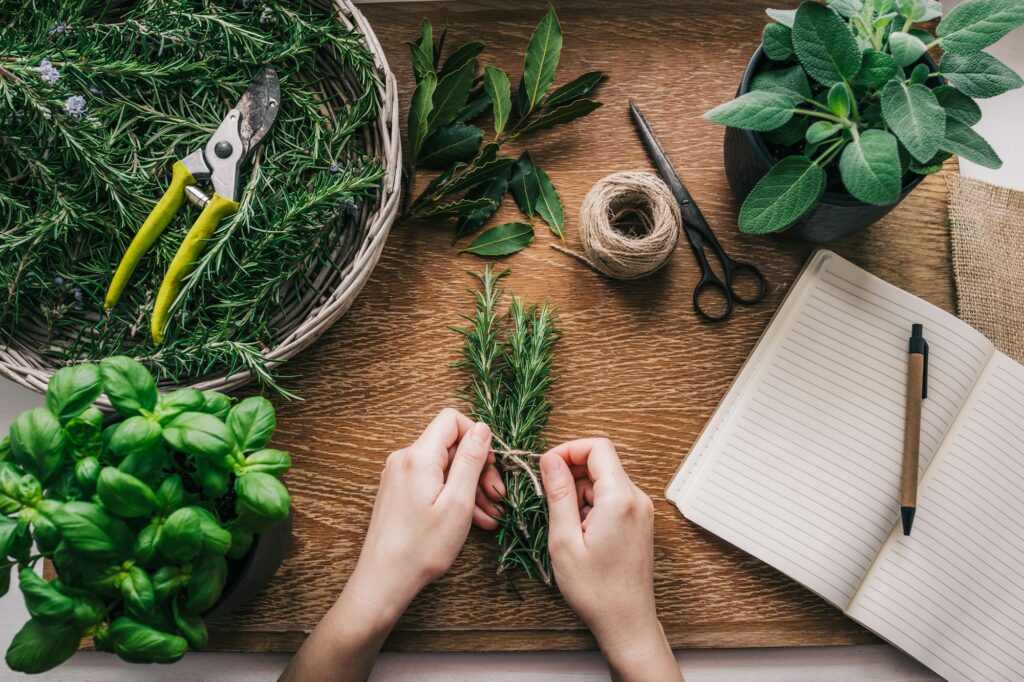 Fresh Herbs