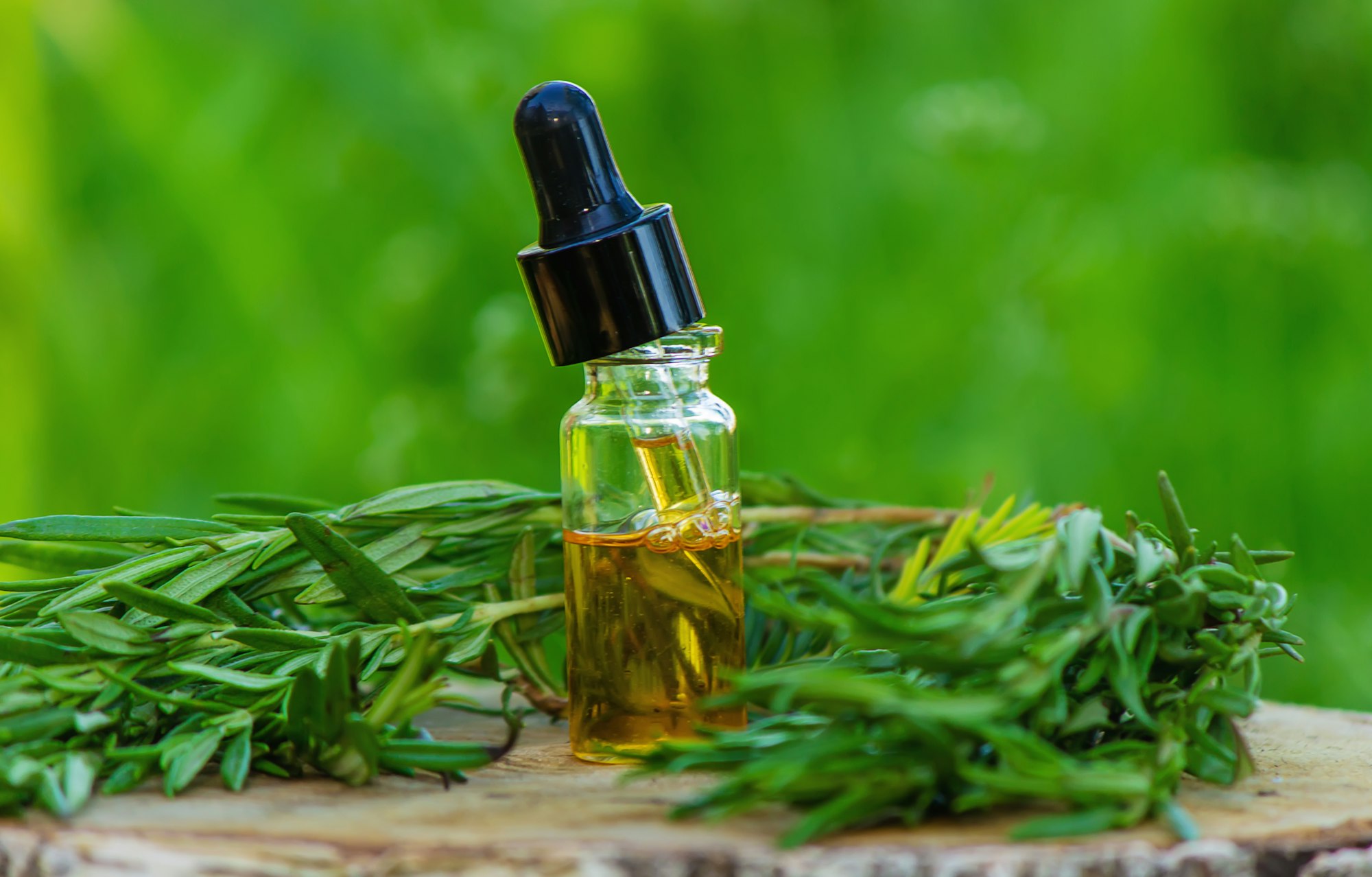 A bottle of rosemary oil on a tree stump. Essential oil, natural remedies.